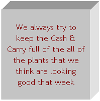 Text Box: We always try to keep the Cash & Carry full of the all of the plants that we think are looking good that week
